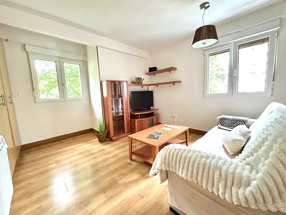 Sala d'estar de Pis en venda en Donostia - San Sebastián  amb Calefacció, Moblat i Balcó