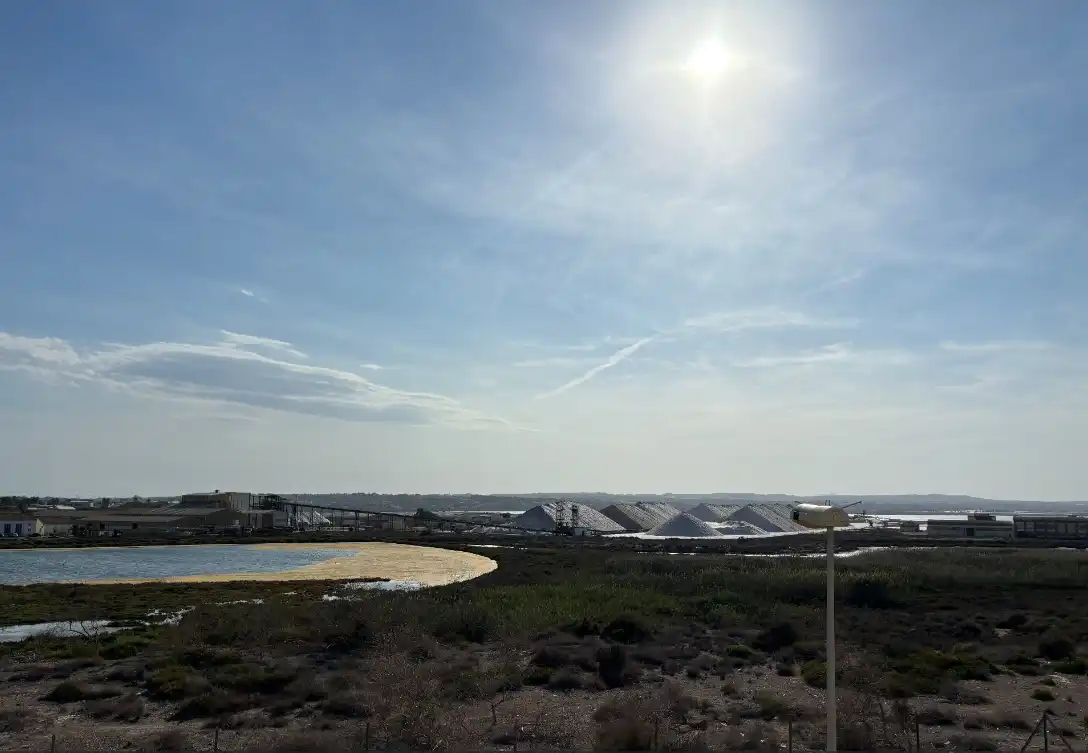 Casa o xalet de lloguer en Torrevieja amb Aire condicionat, Calefacció i Jardí privat