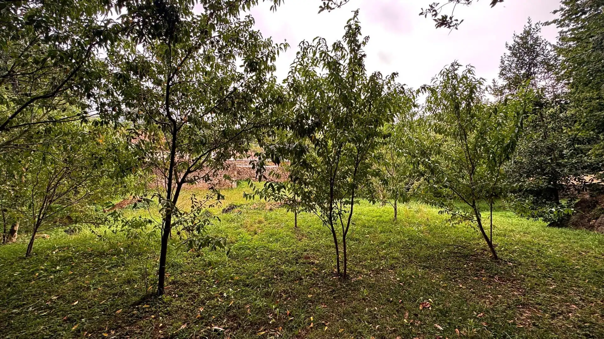 Terreny residencial en venda a Alfoz de Lloredo, imagen 4