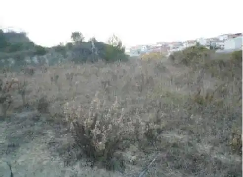 Rustikales Grundstück zum Verkauf in SECTOR 4 Nº POLIGONO16 PARC.