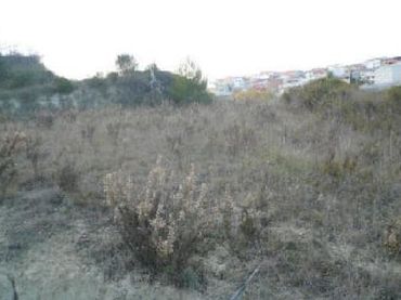 Rustikales Grundstück zum Verkauf in SECTOR 4 Nº POLIGONO16 PARC.