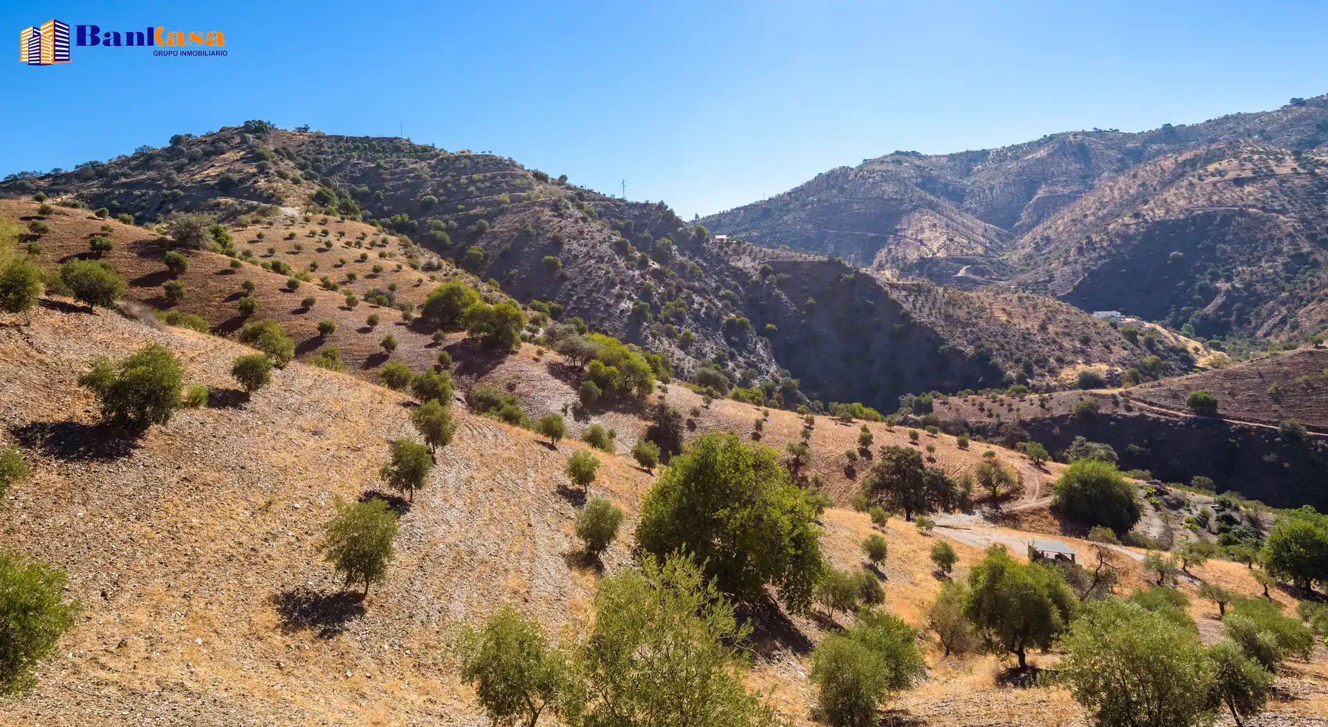 Vista exterior de Finca rústica en venta en Álora con Jardín privado y Trastero
