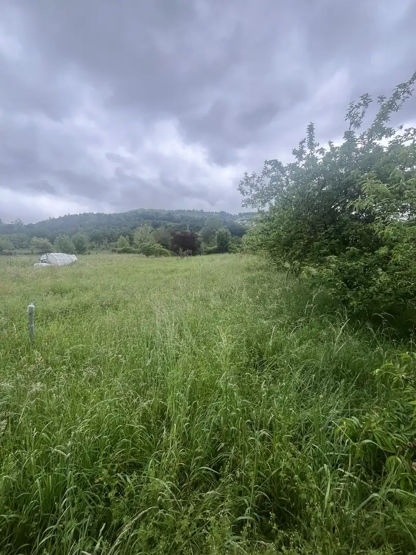 Terreno en venta en Laviana