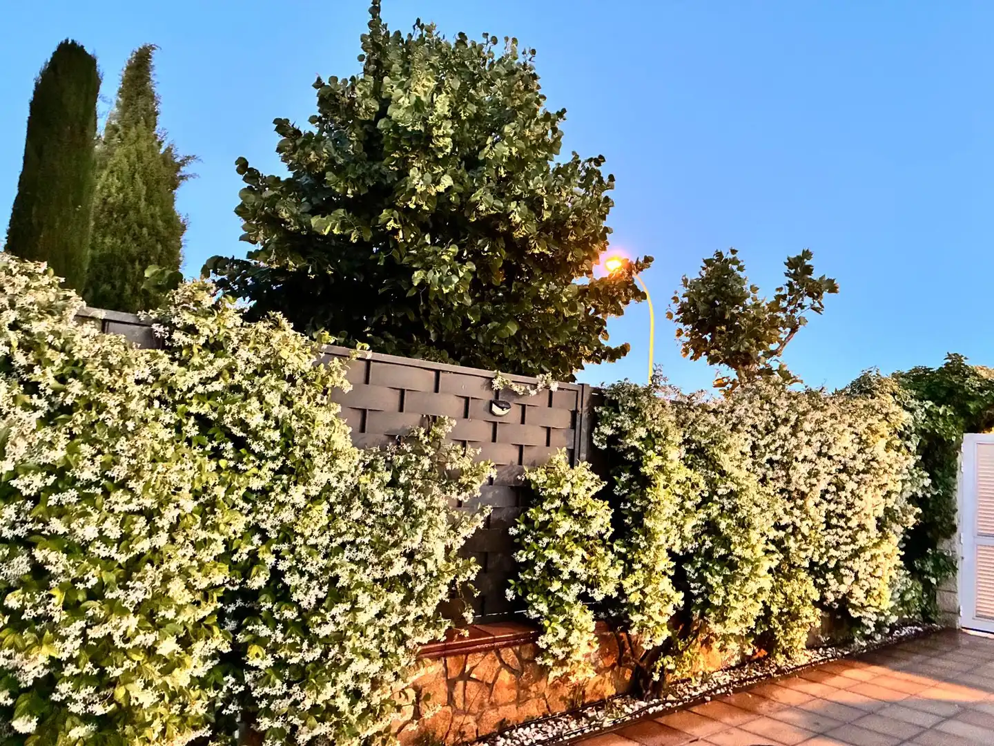 Jardí de Casa adosada en venda en Soria Capital  amb Calefacció, Jardí privat i Terrassa
