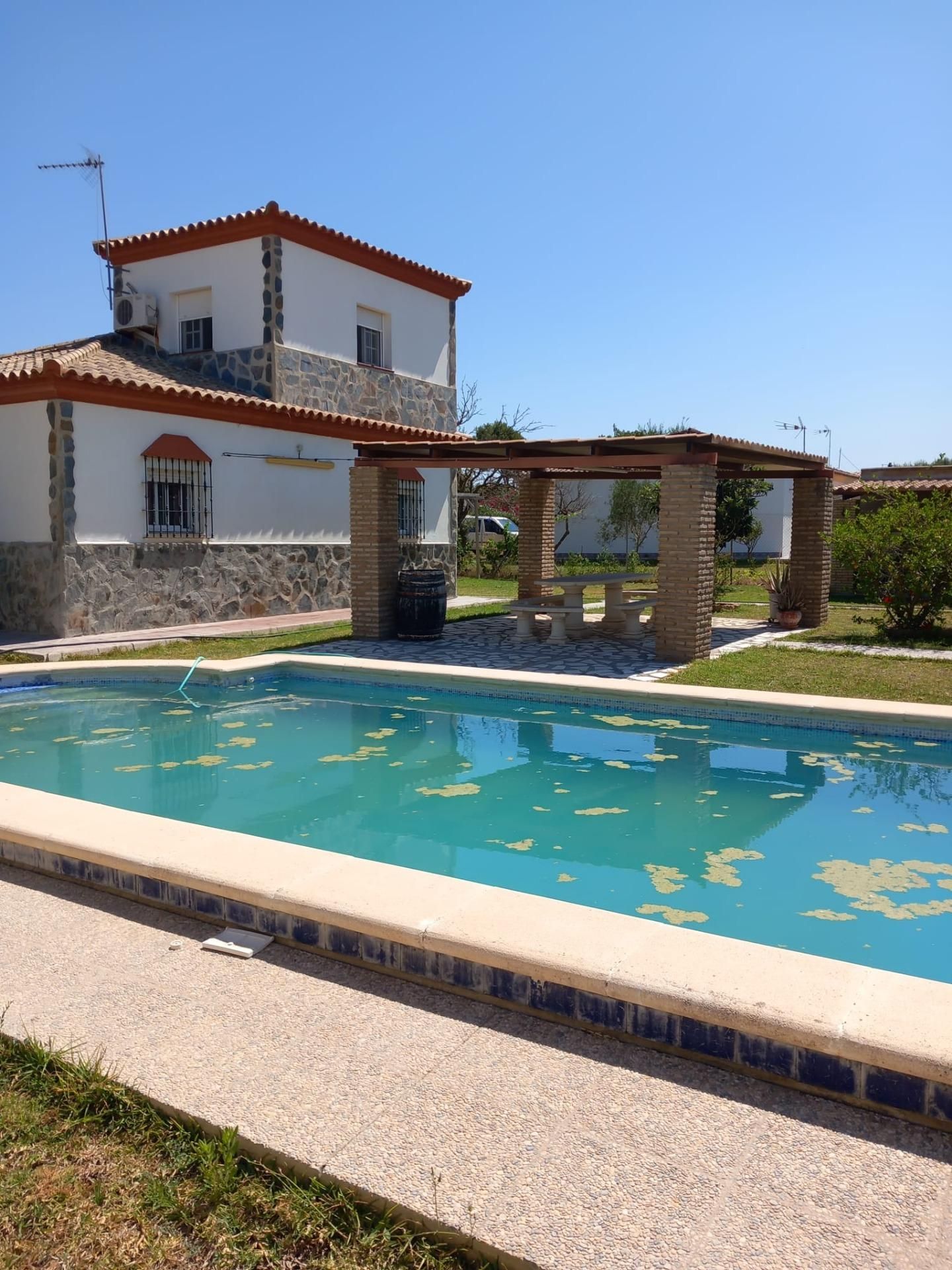Piscina de Casa o xalet en venda en Chiclana de la Frontera amb Jardí privat