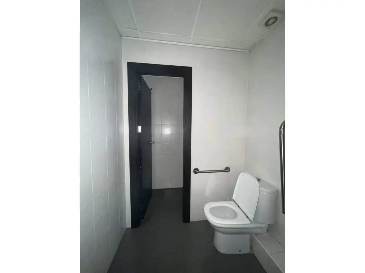 Gewerbefläche zum Verkauf in Calle SAN RAMON, imagen 62