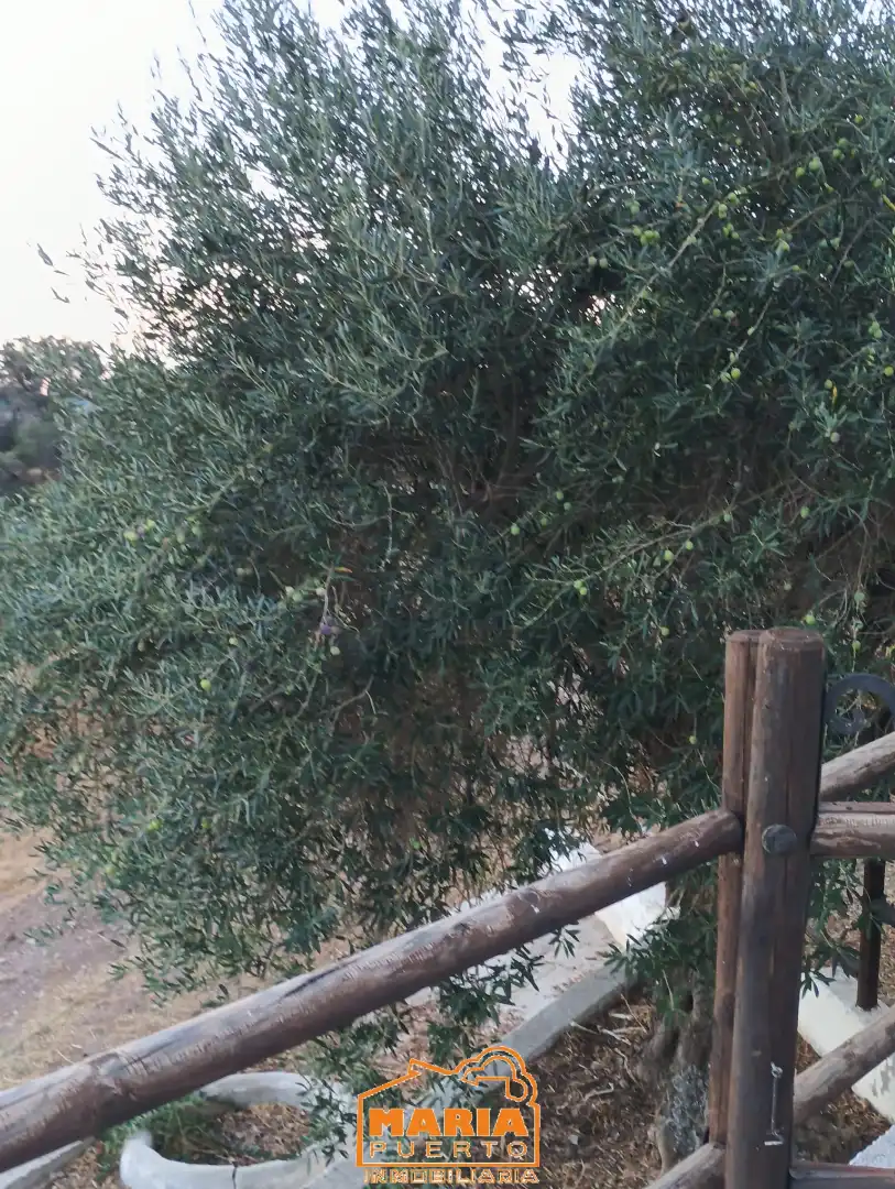 Casa rústica en venta en Almogía, imagen 6