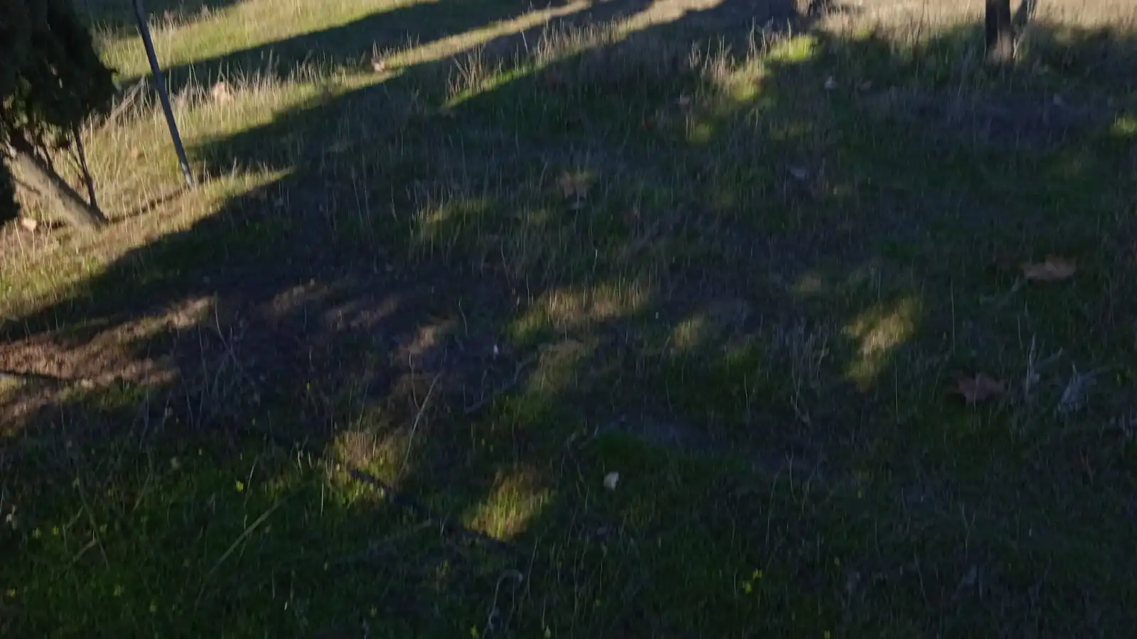 Terreno en venta en Illán de Vacas