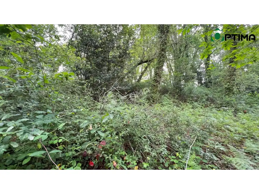 Terreni e lotti in vendita a Lugar Montecelo, imagen 4