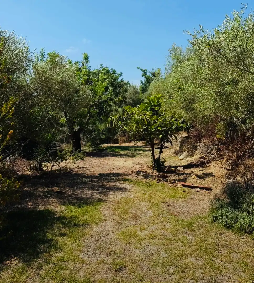 Xalet amb jardí en venda a Sanet y Negrals, imagen 6