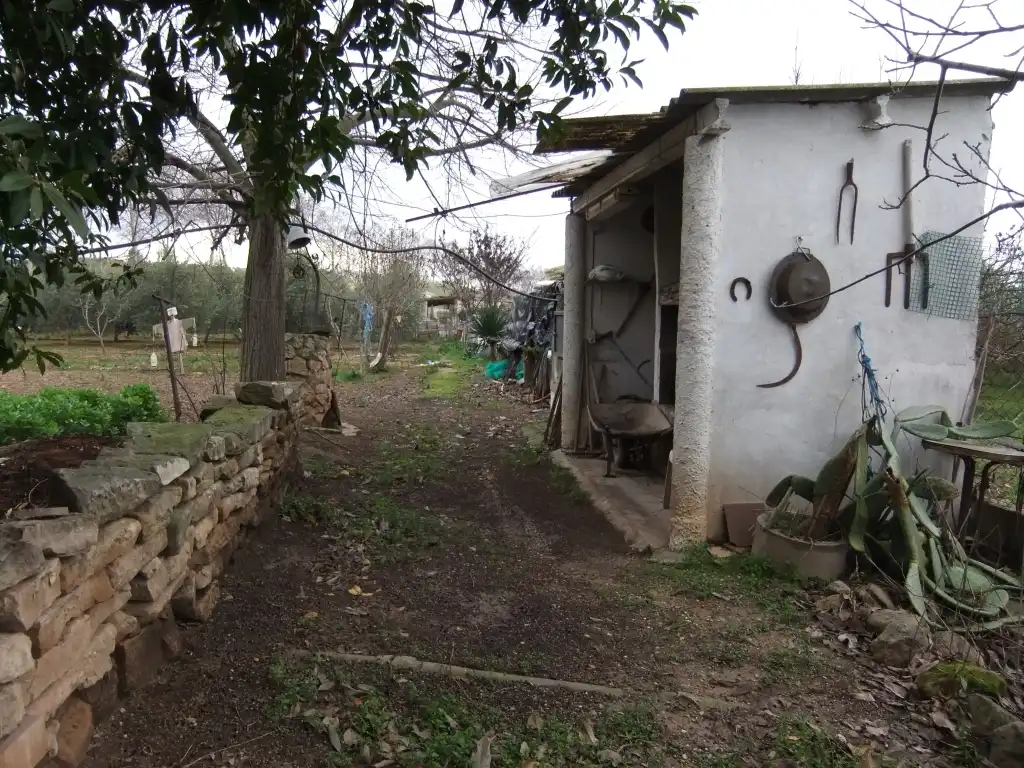 Terreny en venda en Les Borges Blanques
