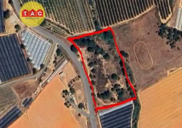 Terreno rustico in vendita a Lepe, imagen 4