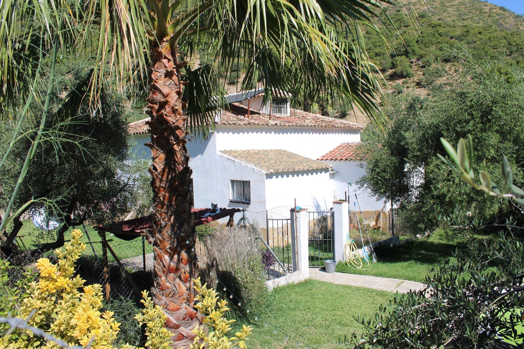 Garden of House or chalet for sale in Zahara  with Swimming Pool