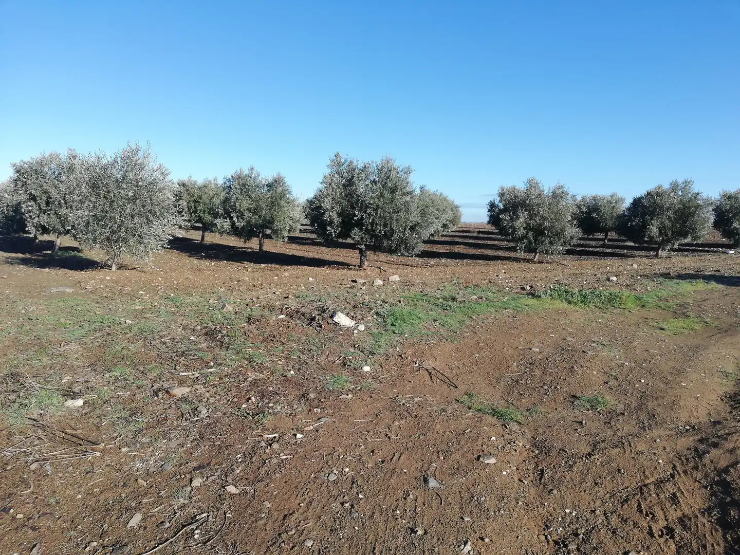 Terreni e lotti in vendita a Villaminaya