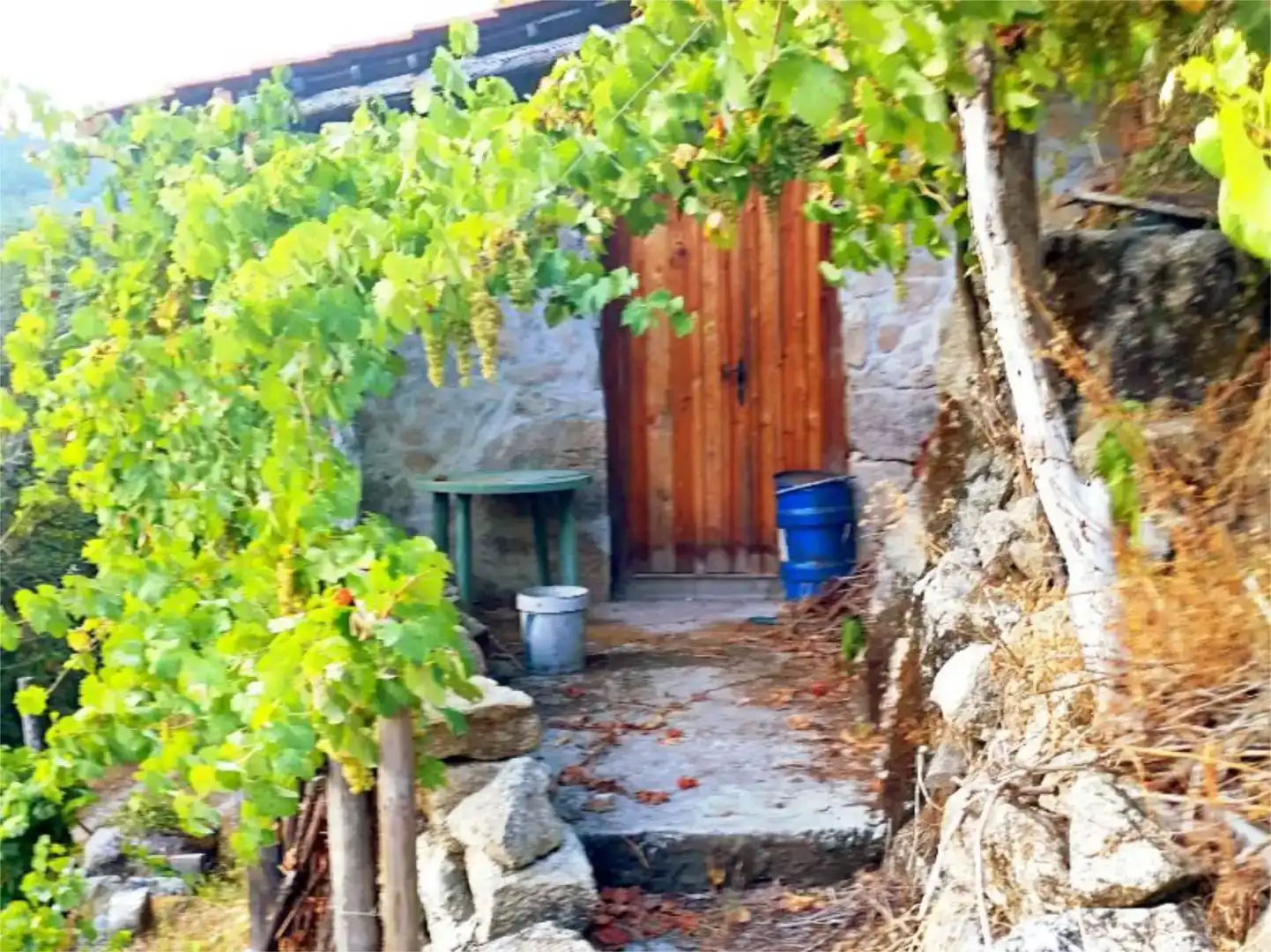 Vista exterior de Terreno en venta en O Saviñao 