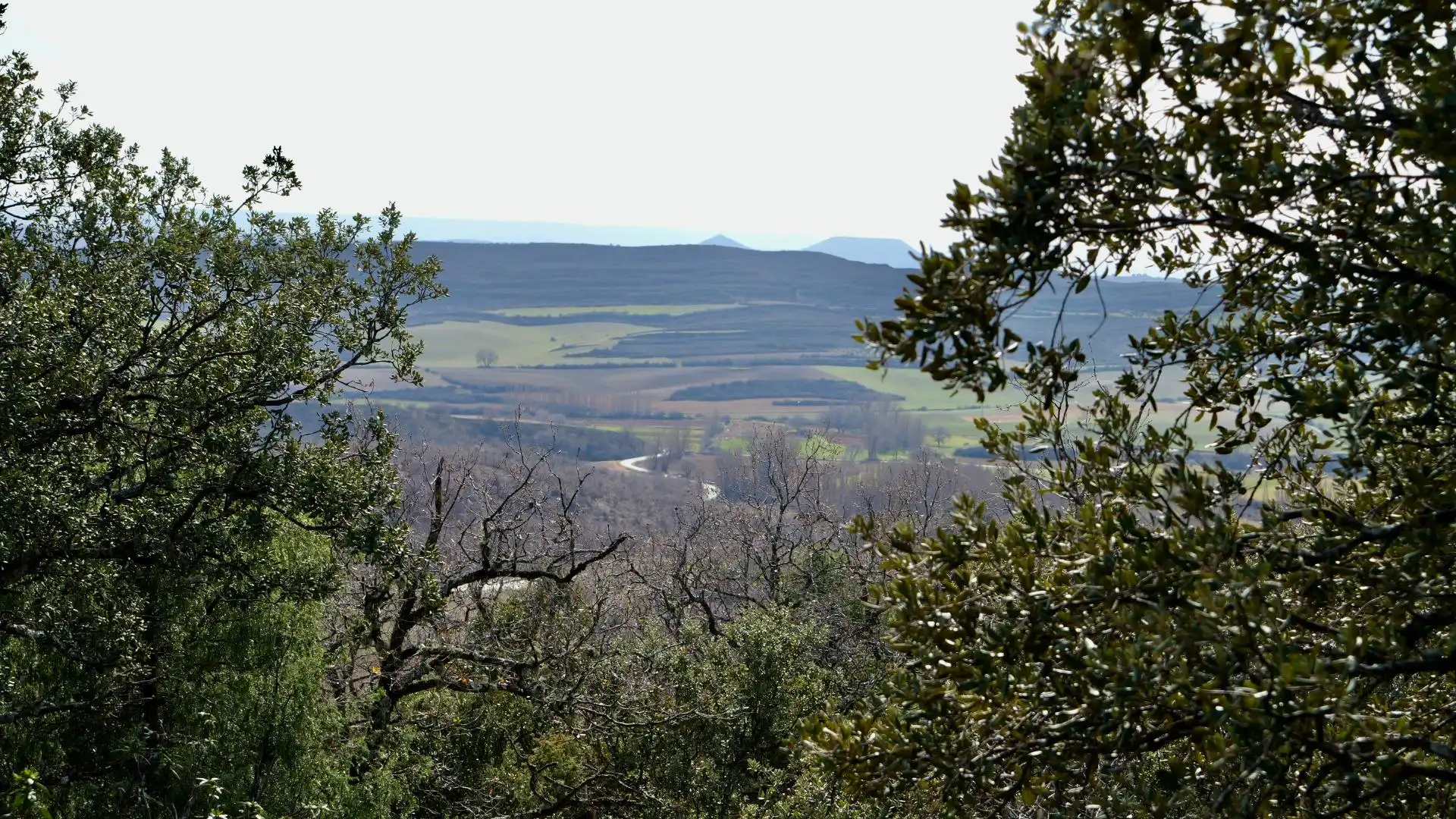Exterior view of Land for sale in Arbancón