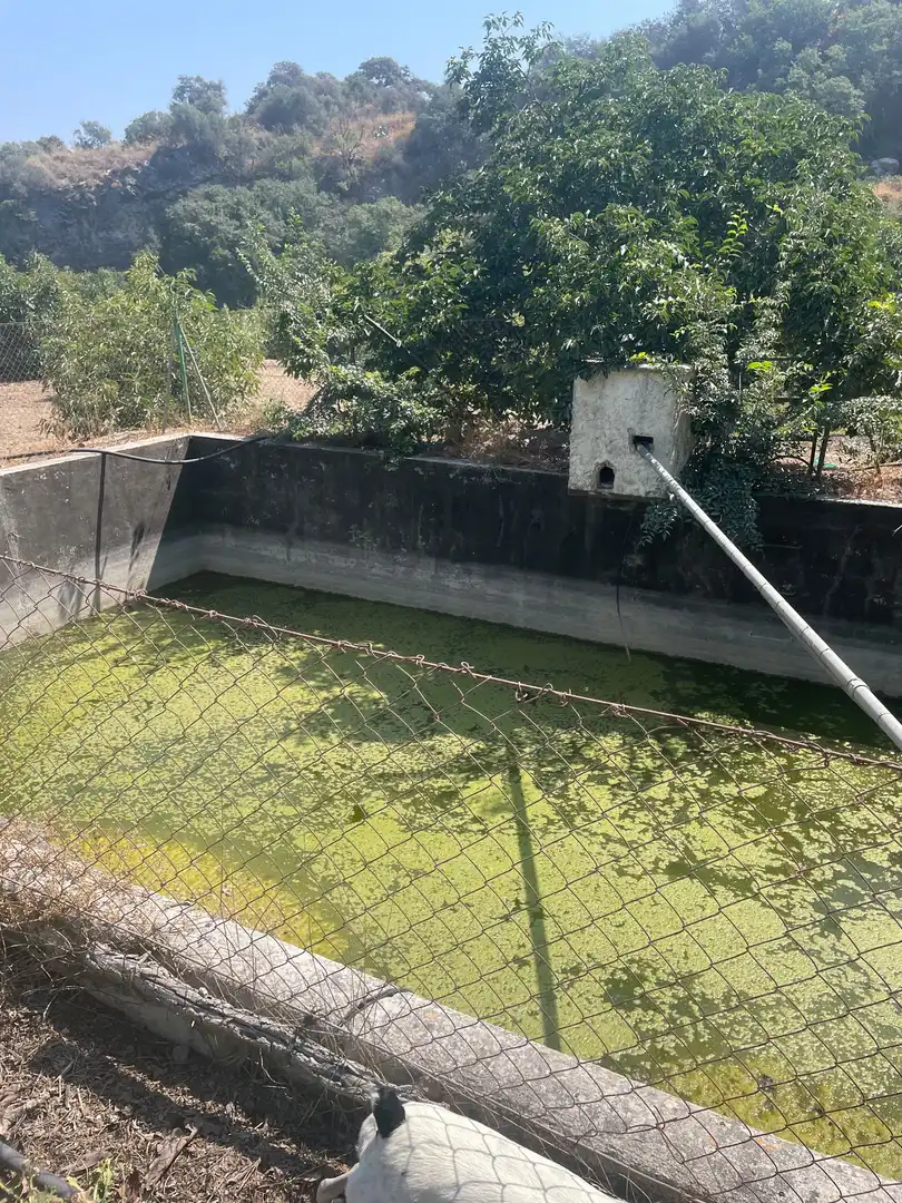 Terreni e lotti in vendita a Coín, imagen 24