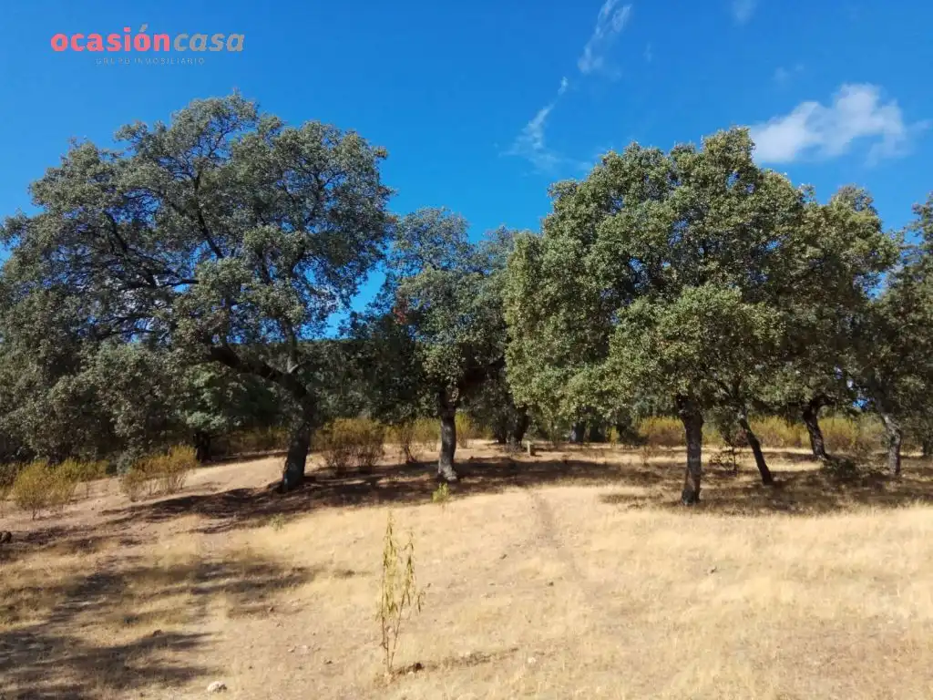 Finca rústica en venta en Villanueva del Duque