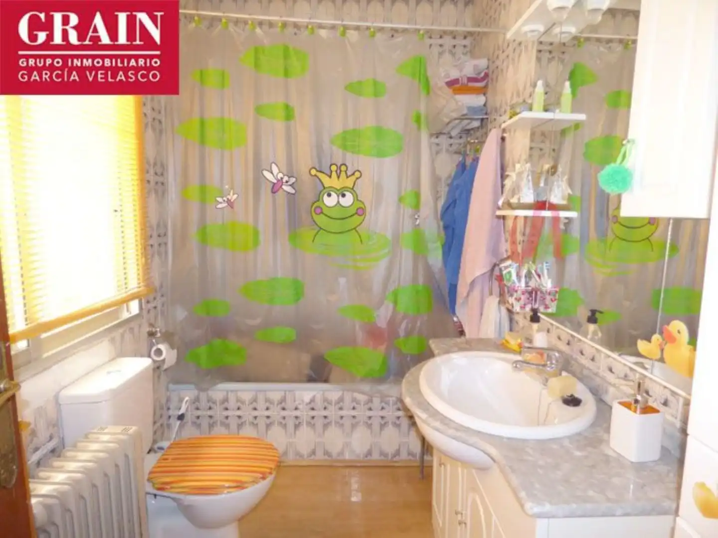 Baño de Casa o chalet en venta en Albacete con Calefacción, Jardín privado y Terraza