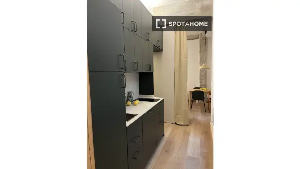 Kitchen of Study for share in Bilbao   with Air Conditioner, Terrace and Furnished