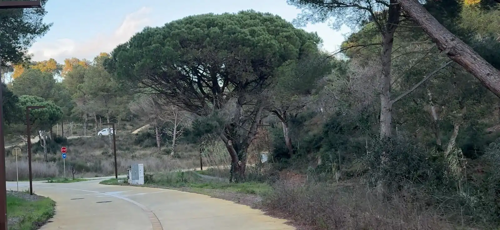 Wohnbaugrundstück zum Verkauf in Sant Joan - Vilarromà, imagen 4