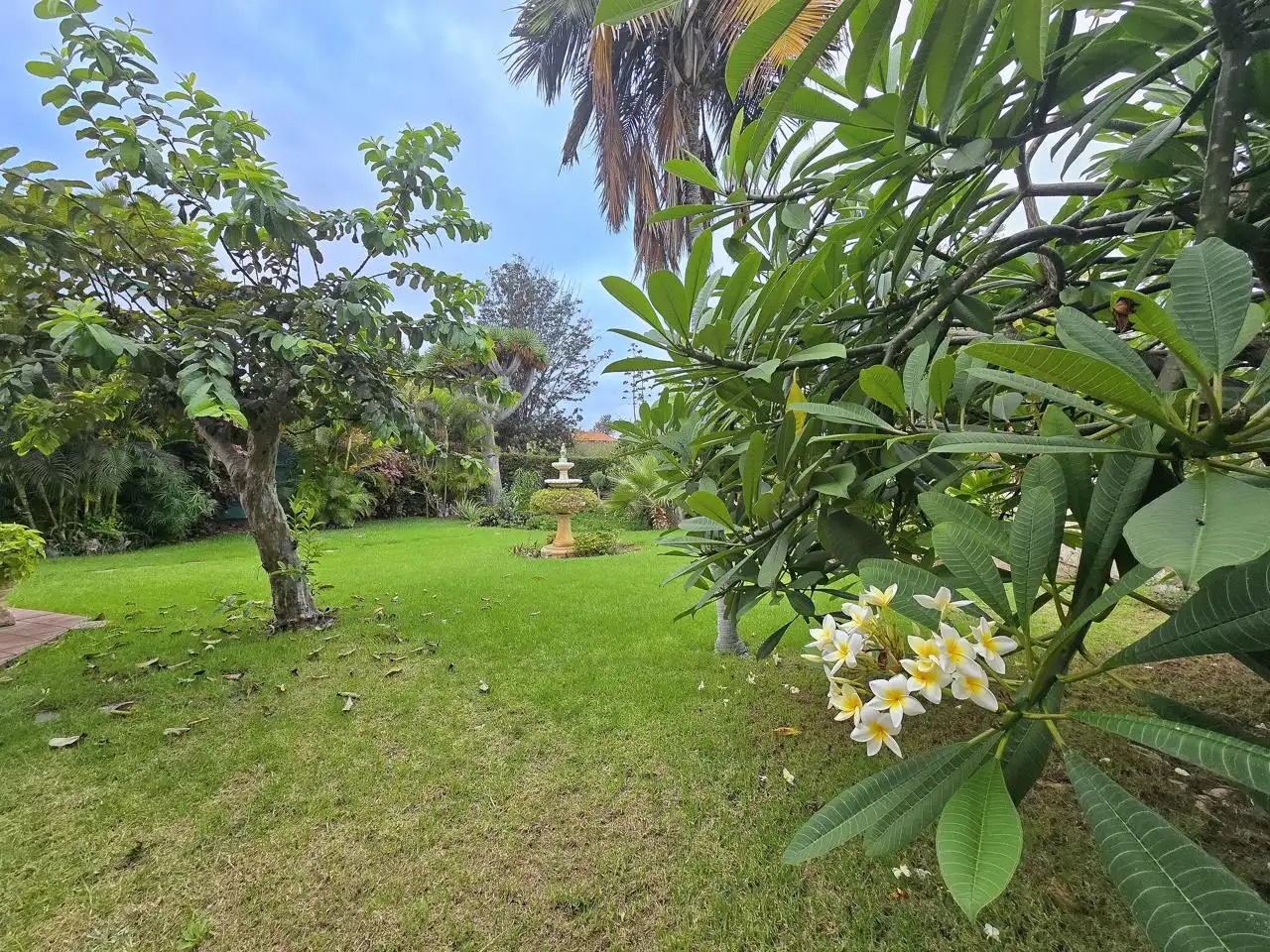 Jardí de Casa o xalet en venda en Puerto de la Cruz amb Jardí privat i Terrassa