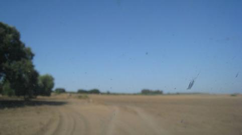Foto 3 de Finca rústica en venda a Marchena, Sevilla