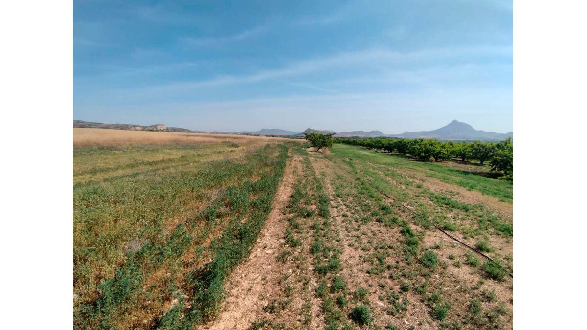 Residential for sale in PARAJE ALBERCEALES, POL.140, PARC. 27, -1, Jumilla
