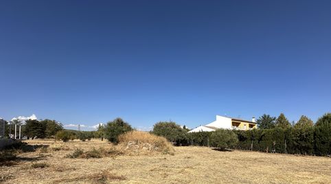 SE VENDE SOLAR ZONA EL CAMPILLO