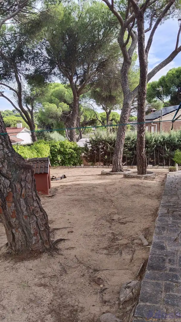 Jardín de Casa o chalet en venta en Almorox con Calefacción, Trastero y Piscina