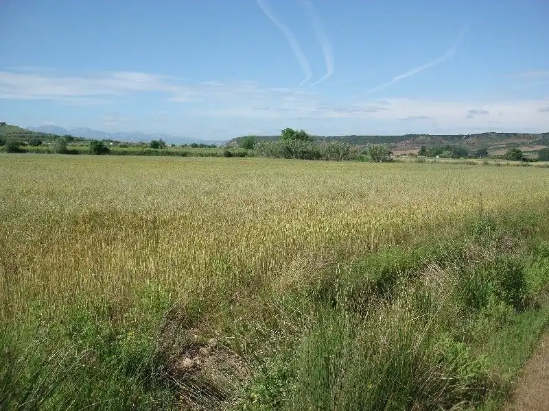 Terreny rústic en venda a Villamediana de Iregua