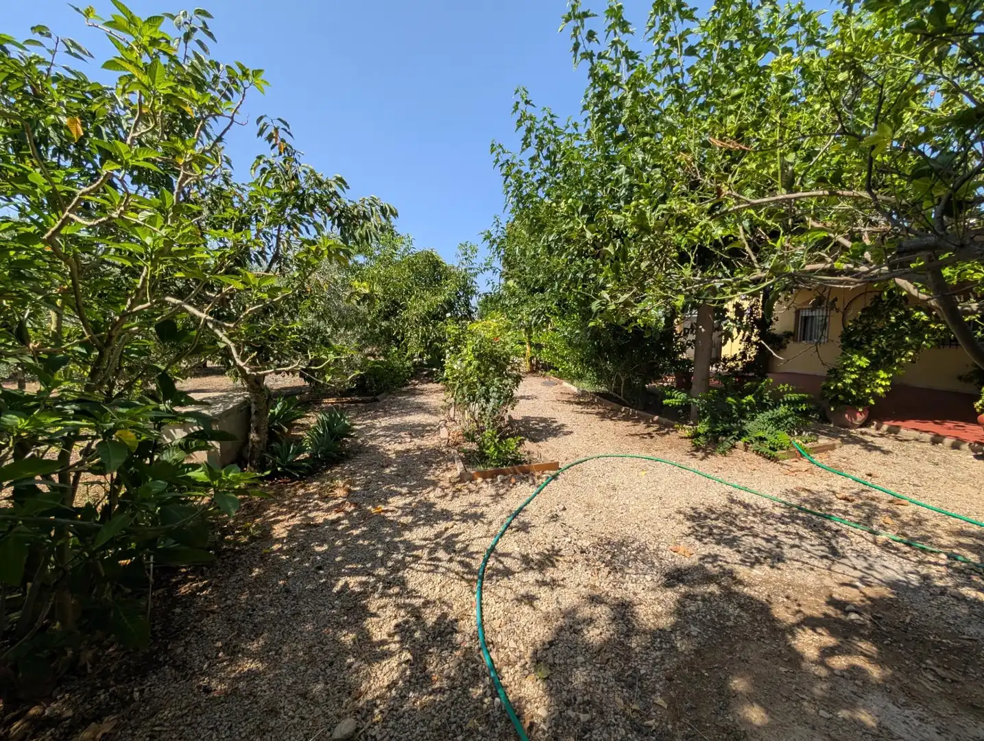 Jardín de Finca rústica en venta en Alcanar