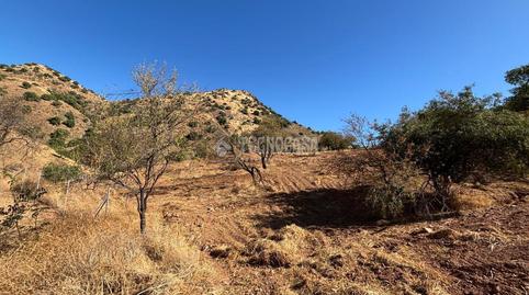 Photo 3 of House or chalet for sale in Finca Los Lopez, El Cortijuelo, Málaga