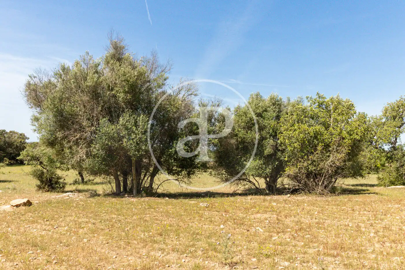 Residencial en venta en Felanitx