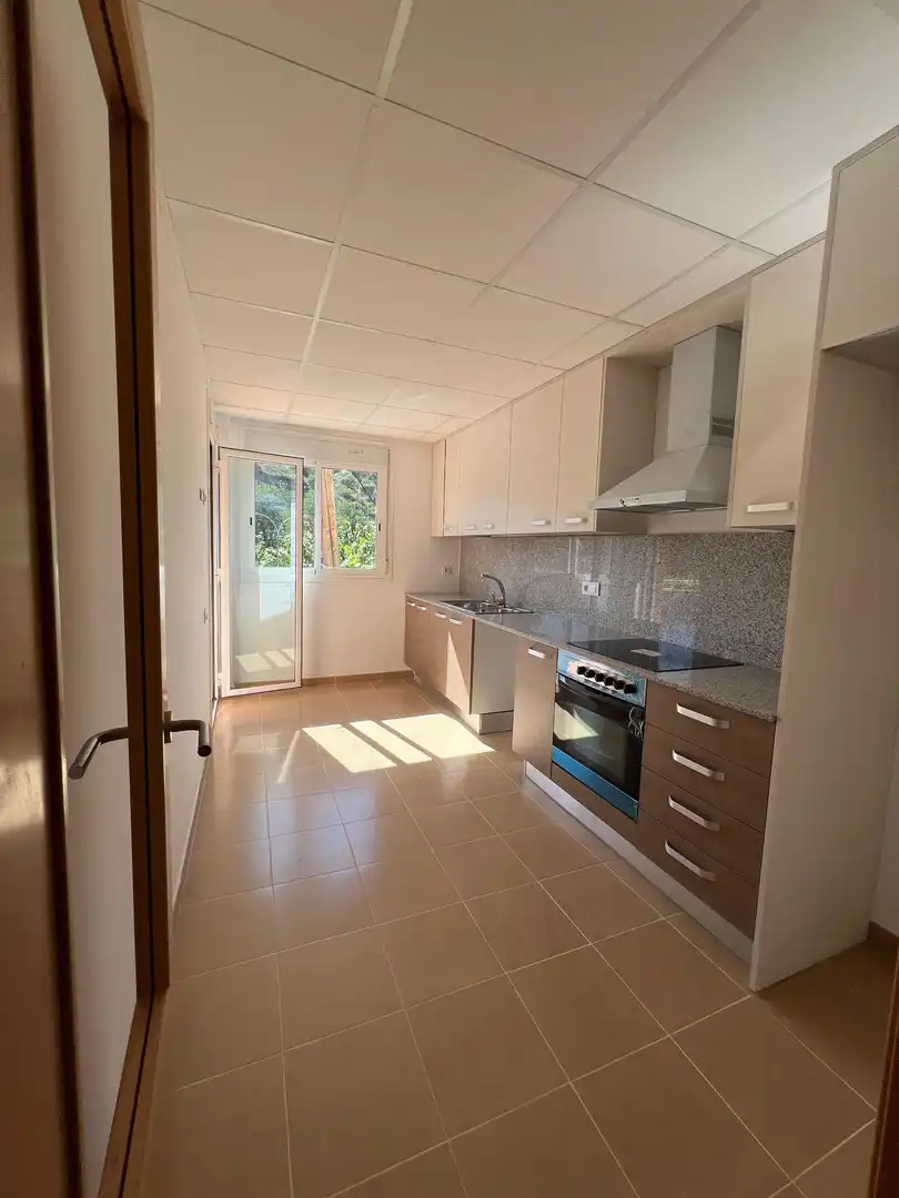 Kitchen of Flat for sale in Aldover  with Terrace
