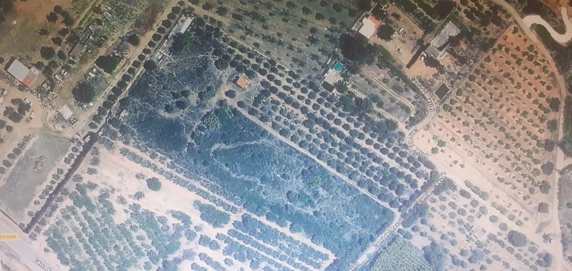 Terreno rústico en venta en Riudoms, imagen 2