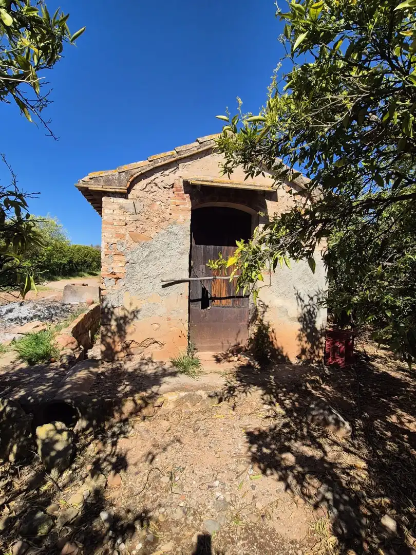 Vista exterior de Finca rústica en venta en Vila-real