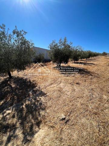 Terreno residencial en Venta en Encinas Reales