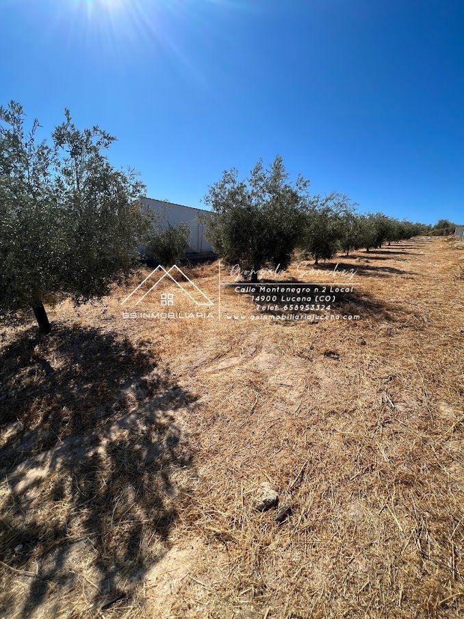 Residencial en venda en Encinas Reales