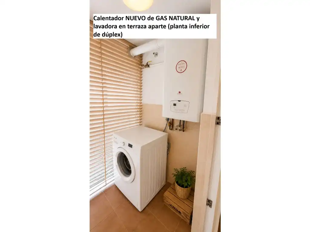 Garden of Duplexes for sale in Madrid