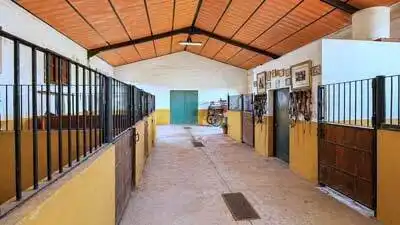 Terreno residencial en venta en Arcos de la Frontera, imagen 3