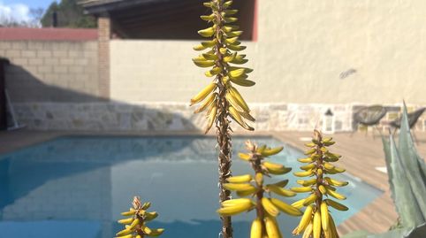 Foto 4 de Casa o xalet en venda a L'Armentera, Girona