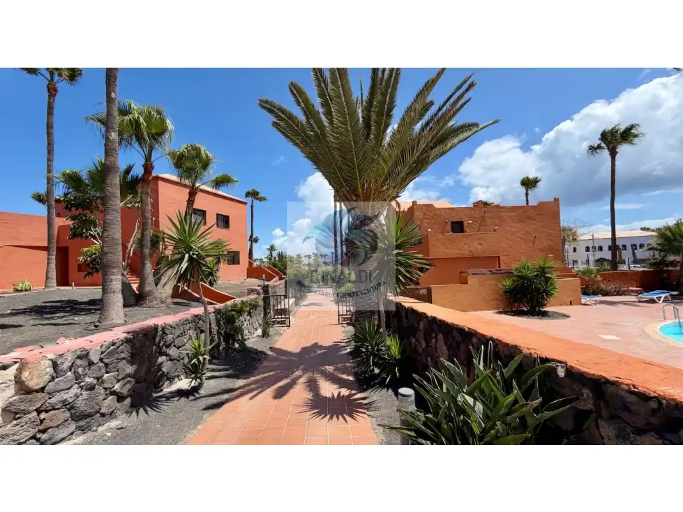 Vista exterior de Apartamento en venta en La Oliva con Terraza, Piscina y Amueblado