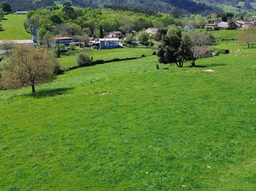 Terreny rústic en venda a Caserio Carrera 80A