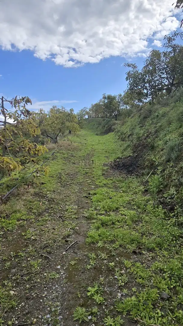 Terreno rustico in vendita a Polígono 11 Parcela 122 EL CERRILLO. LOS GUAJARES (GRANADA), imagen 2