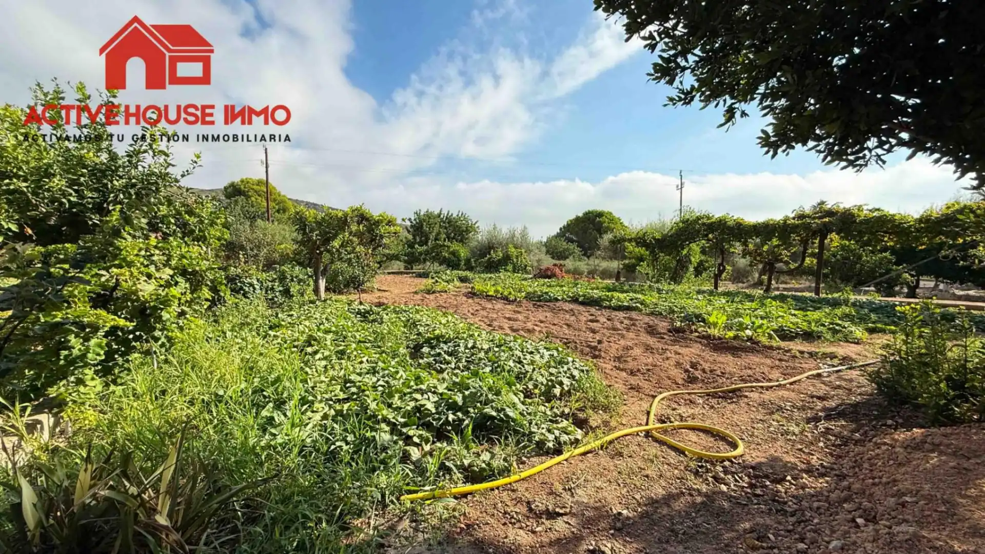 Maison rustique avec piscine à vendre à Partida Codonyol, imagen 50