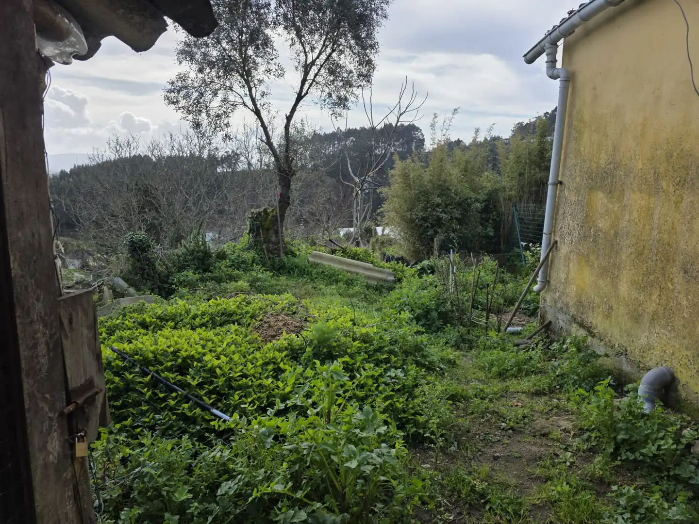 Detached homes for sale in Narón