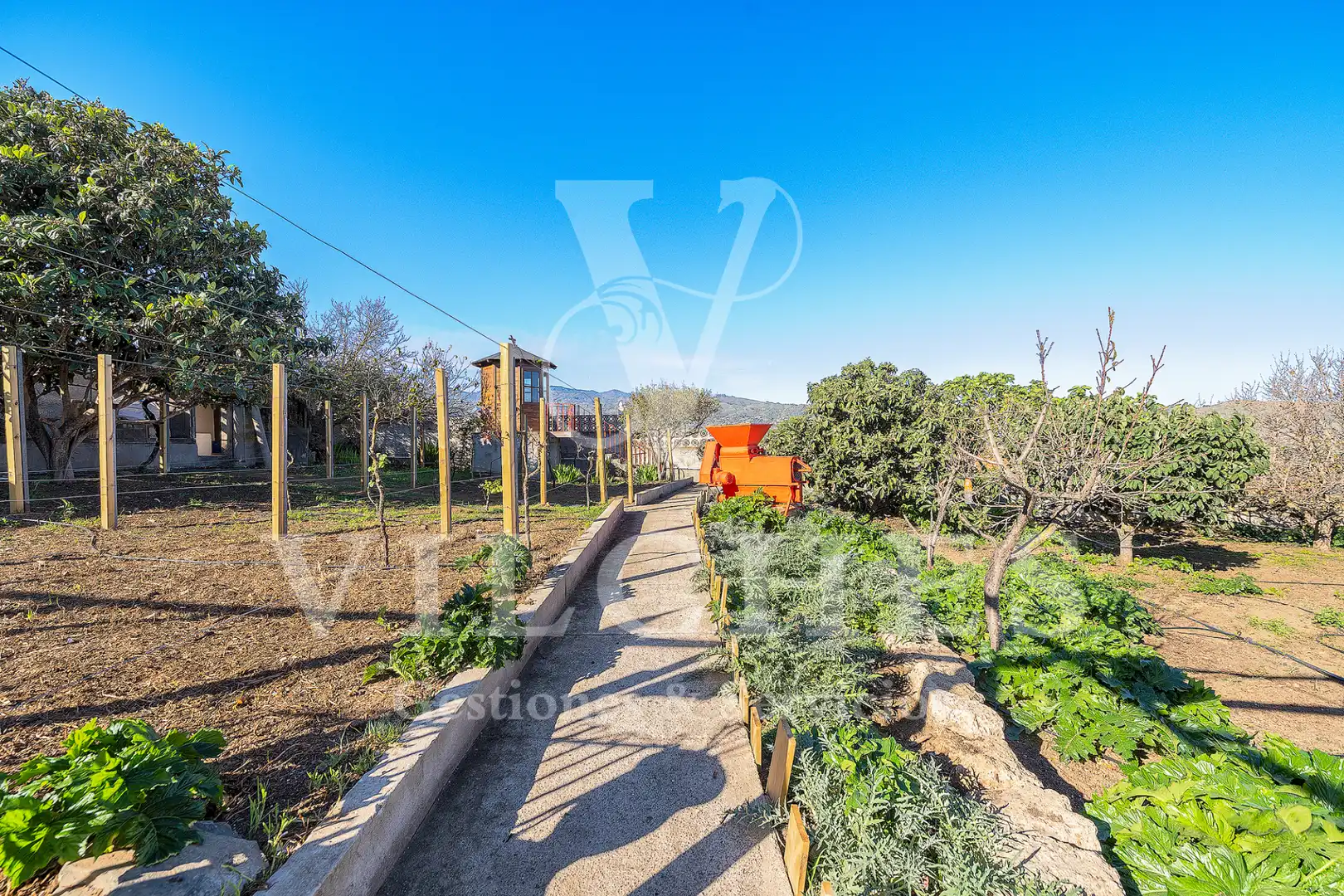 Jardí de Casa o xalet en venda en Santa Brígida amb Jardí privat, Terrassa i Traster