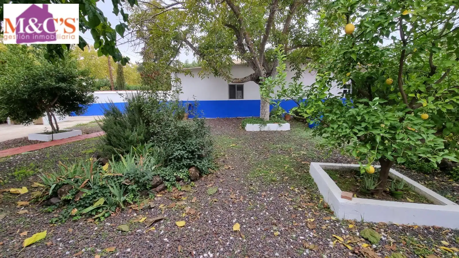 Vista exterior de Casa o xalet en venda en Puertollano amb Aire condicionat, Calefacció i Jardí privat