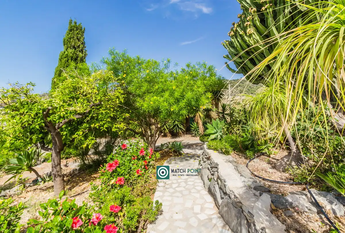 Jardí de Casa o xalet en venda en Almuñécar